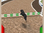 3D dog racing simulator